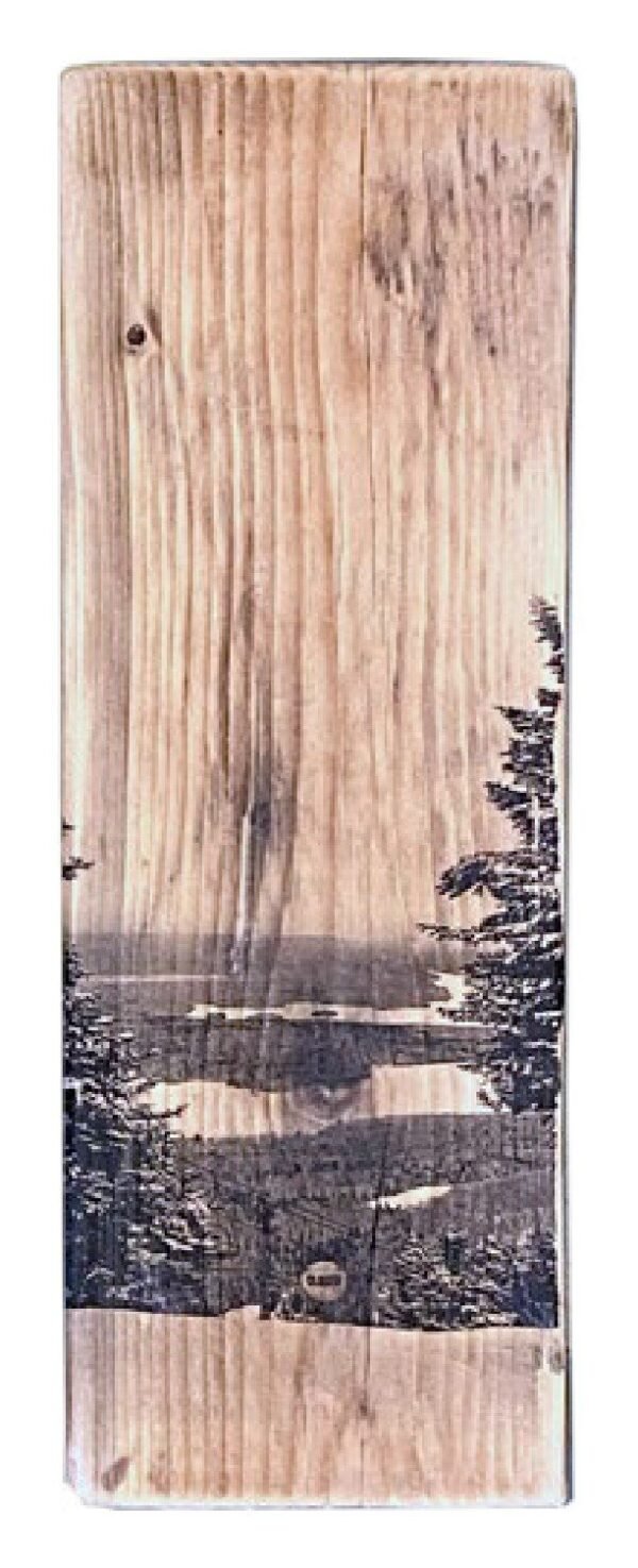 Mount Snow, Vermont — Wood Print No. 004