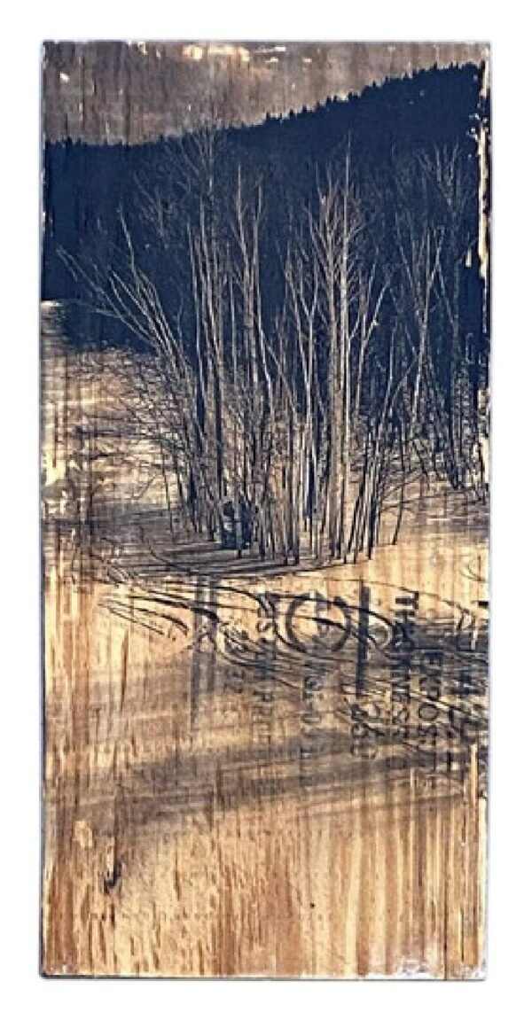 Magic Mountain, Vermont — Wood Print No. 005