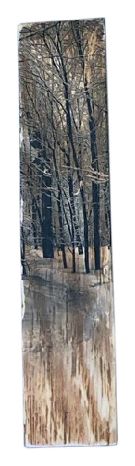 Jay Peak, Vermont — Wood Print No. 014