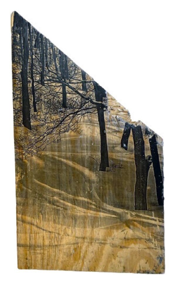 Magic Mountain, Vermont — Wood Print No. 015