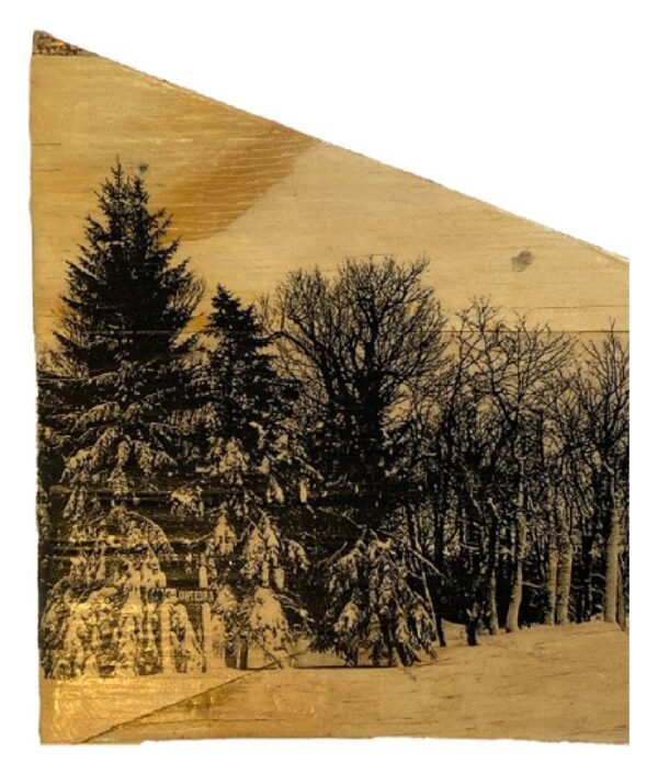 Belleayre, New York — Wood Print No. 017