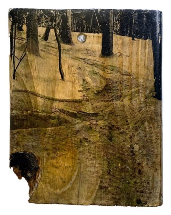 Belleayre, New York — Wood Print No. 019