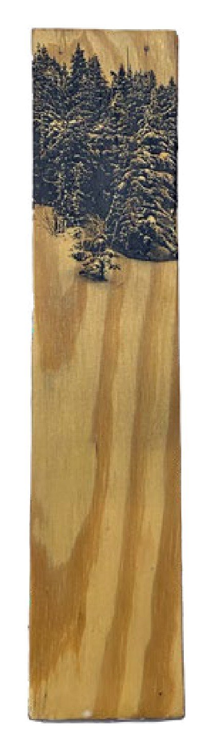 Bolton Valley, Vermont — Wood Print No. 023